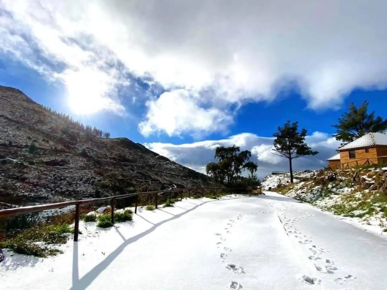 Mountain Eco Shelter 1 Hotel Funchal  Luxury tent Funchal (Madeira)