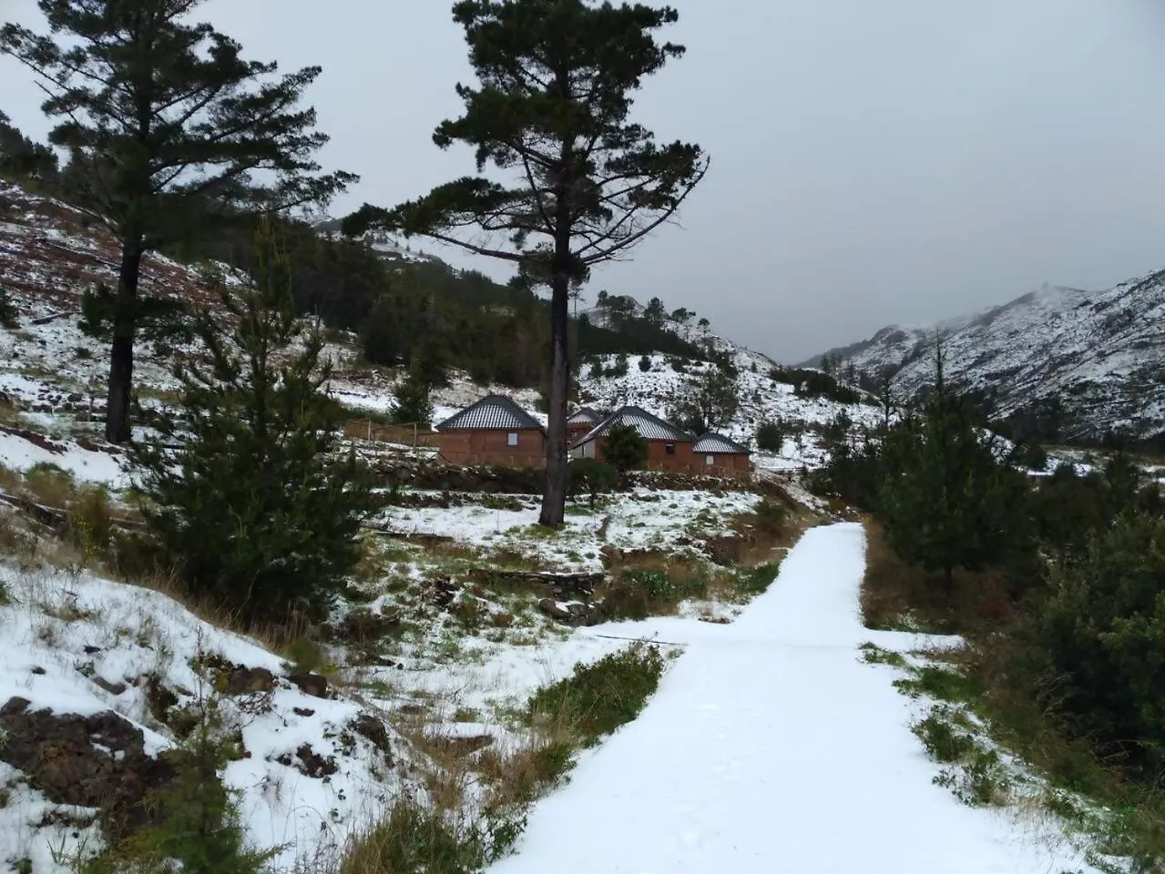 Luxury tent Mountain Eco Shelter 1 Hotel Funchal